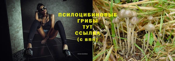 прущие крисы Алексеевка