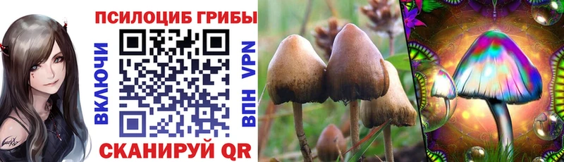 Купить  Бодайбо  Псилоцибиновые грибы ЛСД 