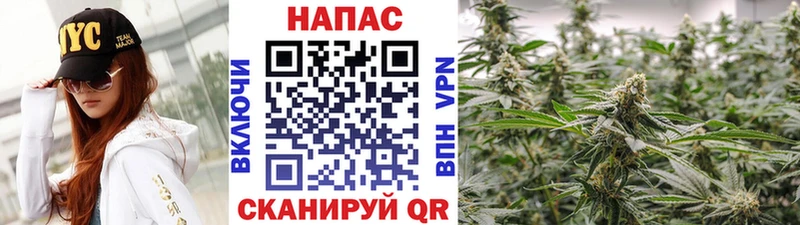 Бошки марихуана план  Купить закладки  Бодайбо 